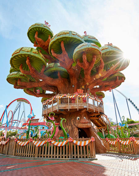 El Árbol Mágico, looking out onto adventure
