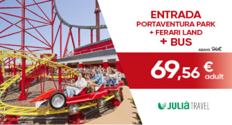 Entradas de 1 día con transporte