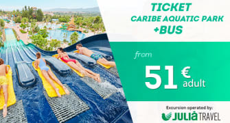 Entradas de 1 día con transporte