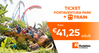 Entradas de 1 día con transporte