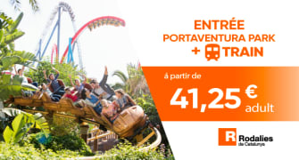 Entradas de 1 día con transporte