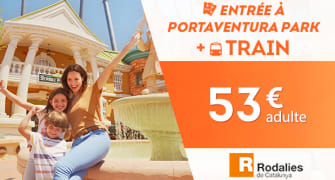 Entradas de 1 día con transporte