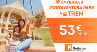 Entradas de 1 día con transporte