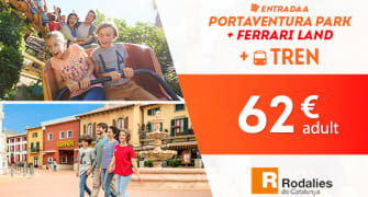 Entradas de 1 día con transporte