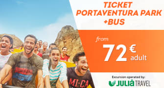 Entradas de 1 día con transporte