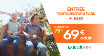 Entradas de 1 día con transporte