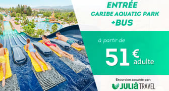 Entradas de 1 día con transporte