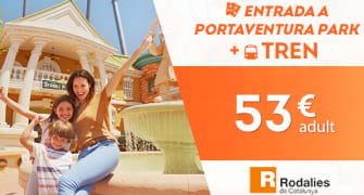 Entradas de 1 día con transporte