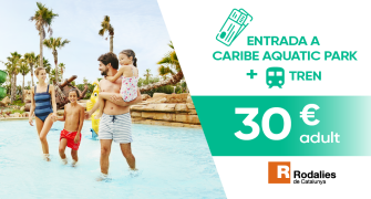 Entradas de 1 día con transporte