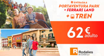 Entradas de 1 día con transporte