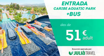 Entradas de 1 día con transporte