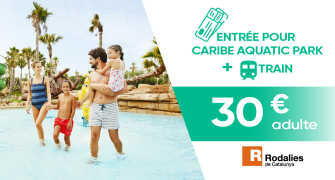 Entradas de 1 día con transporte