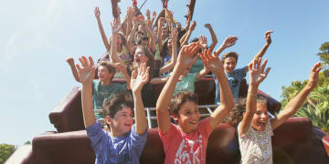 días de acceso al parque