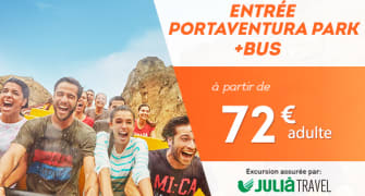 Entradas de 1 día con transporte