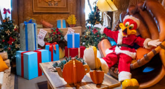 Happy Birthday at Woody’s House