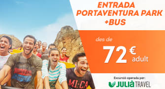 Entradas de 1 día con transporte