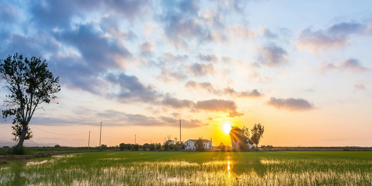 Parque natural del Delta