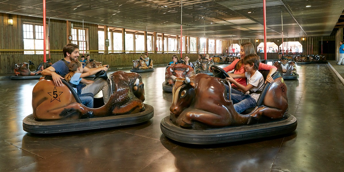 Familia subida en los autos de choque.