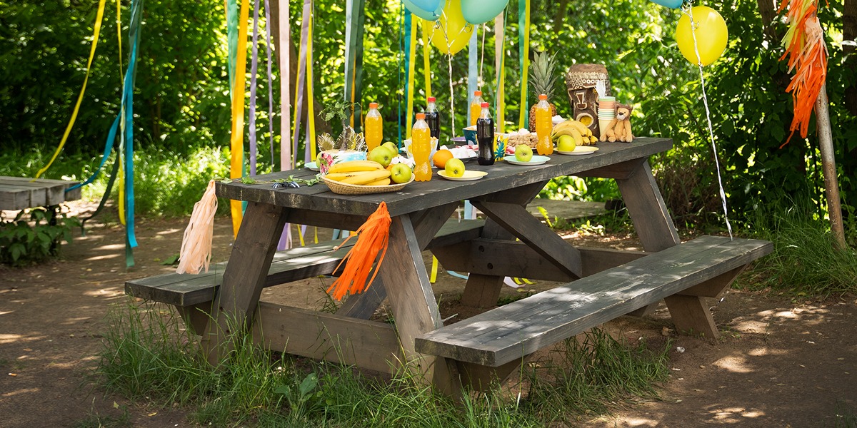 Cumpleaños en un picnic en el bosque