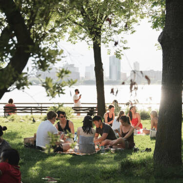 Grupo de amigos haciendo un picnic