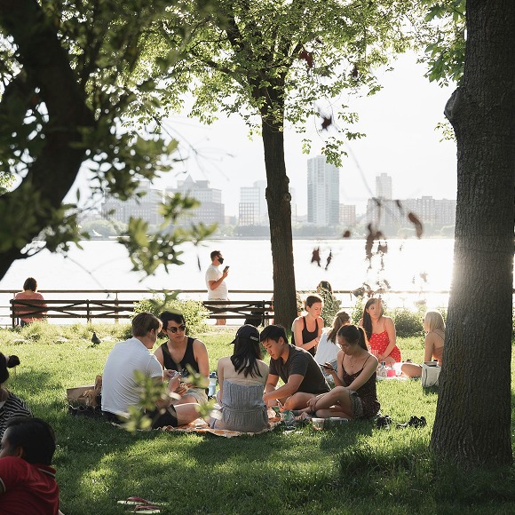 Grupo de amigos haciendo un picnic